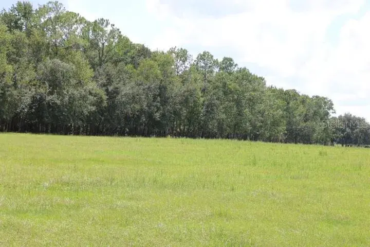 Property for sale at GREEN SWAMP ROAD, CLERMONT, FL, 34714