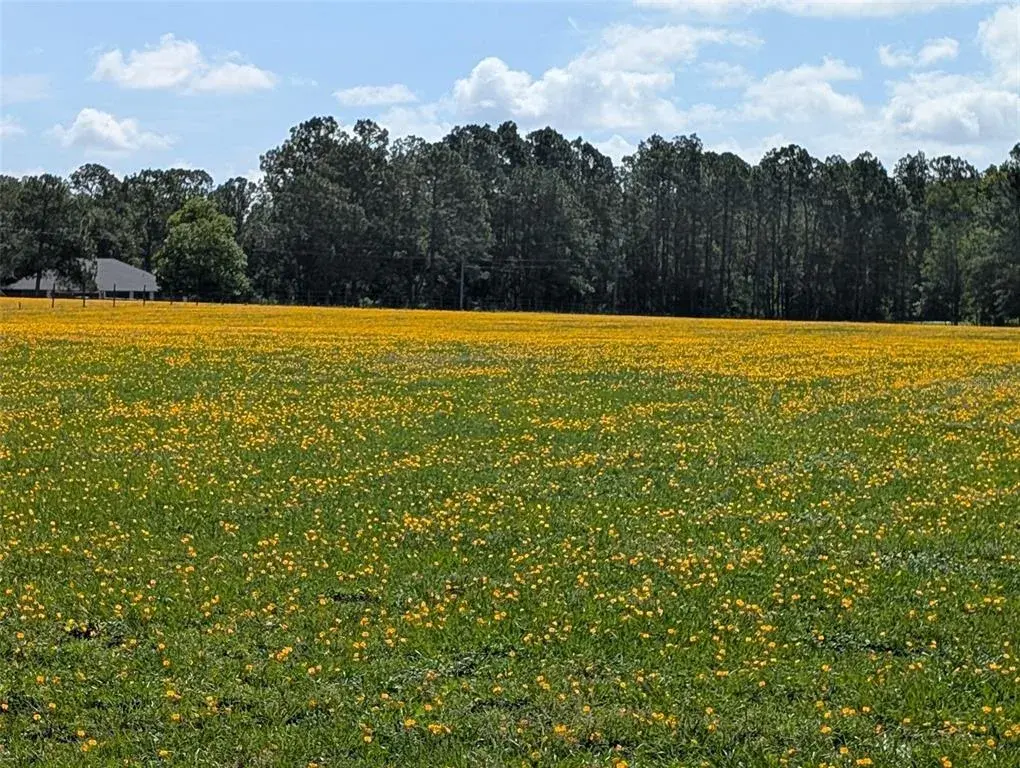 Property for sale at GREEN SWAMP ROAD, CLERMONT, FL, 34714