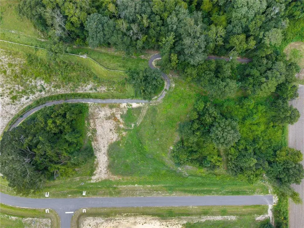 Lot 9 & Walking Trail