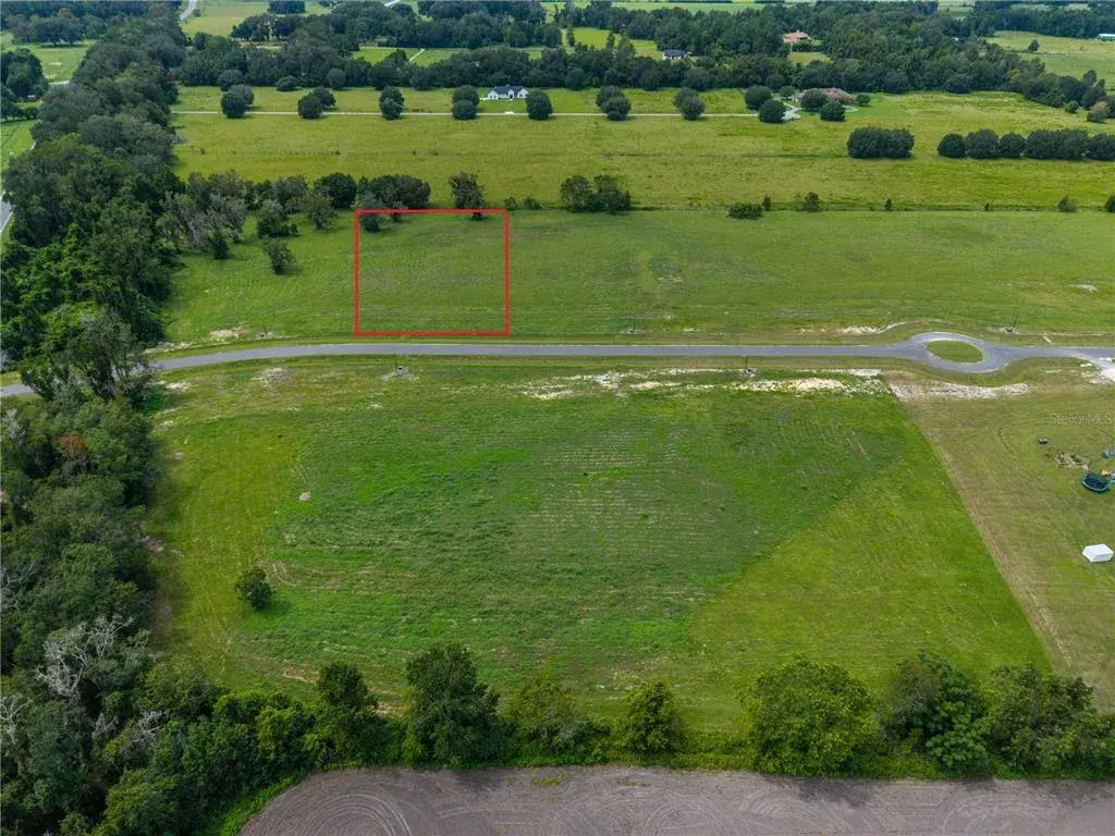 Lot 11