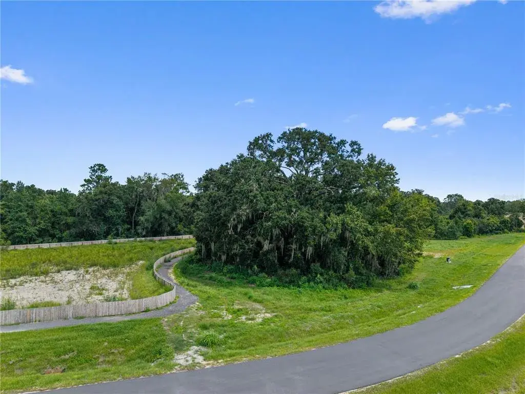 Future Picnic Pavilion Site
