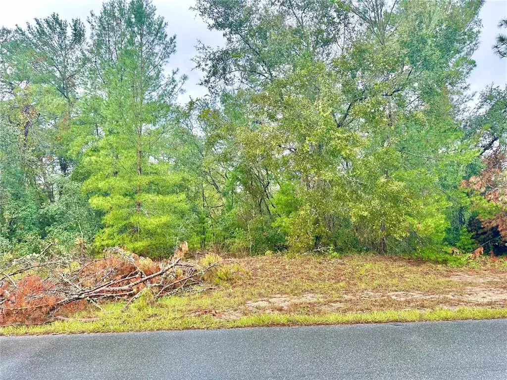 Property for sale at TBD SW 46TH TERRACE Lot 41, OCALA, FL, 34473