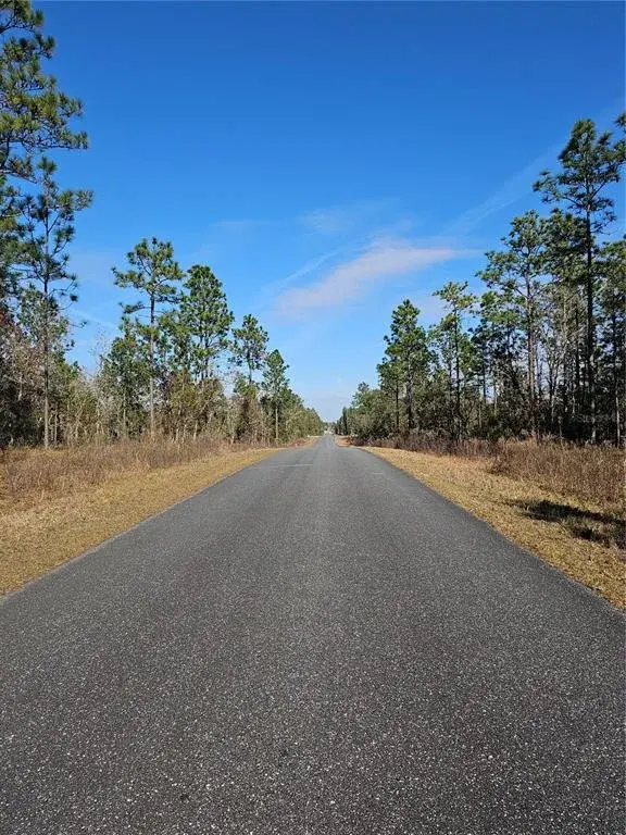 Peaceful Street View