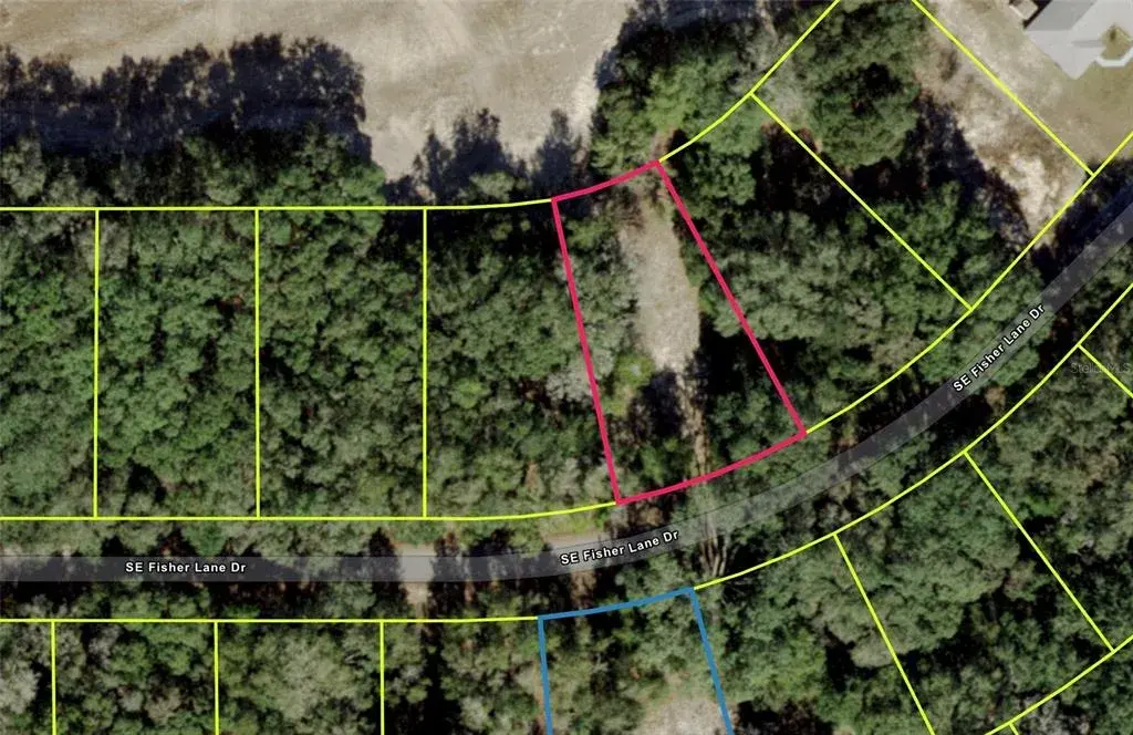 Property for sale at SE FISHER LANE DRIVE, OCKLAWAHA, FL, 32179