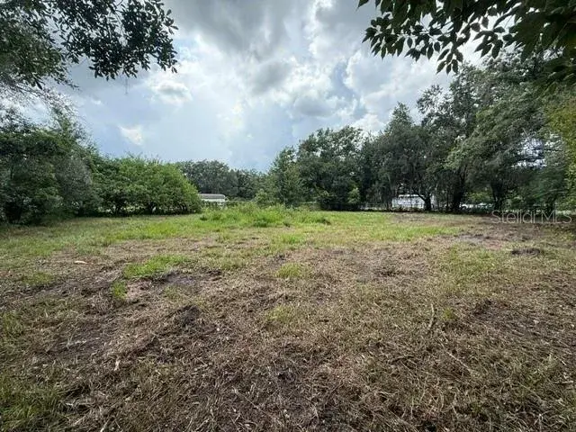 Property for sale at 3011 S WIGGINS ROAD, PLANT CITY, FL, 33566
