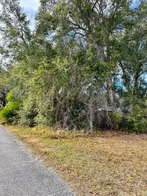 Property for sale at 195 LAKE MOLLY AVENUE, DELAND, FL, 32724
