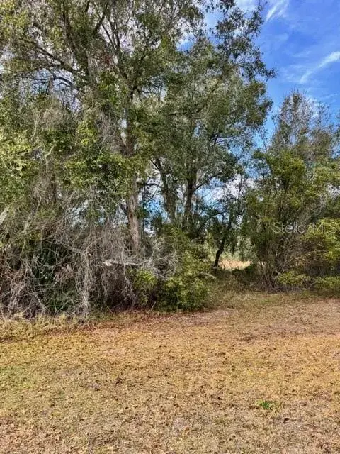 Property for sale at 195 LAKE MOLLY AVENUE, DELAND, FL, 32724