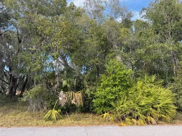 Property for sale at 195 LAKE MOLLY AVENUE, DELAND, FL, 32724