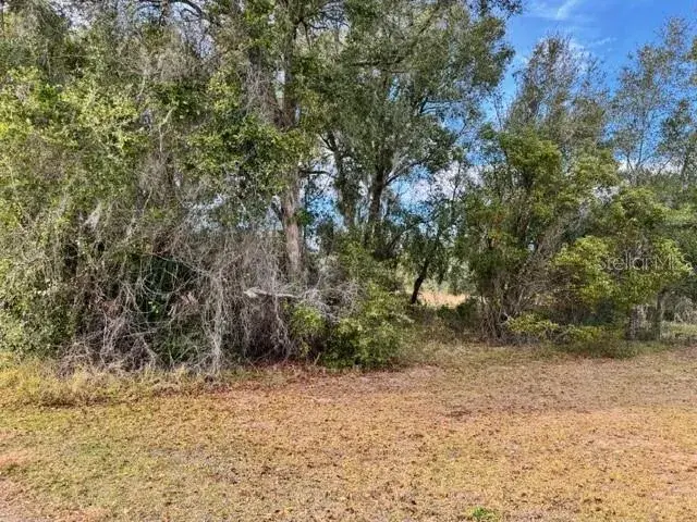 Property for sale at 195 LAKE MOLLY AVENUE, DELAND, FL, 32724
