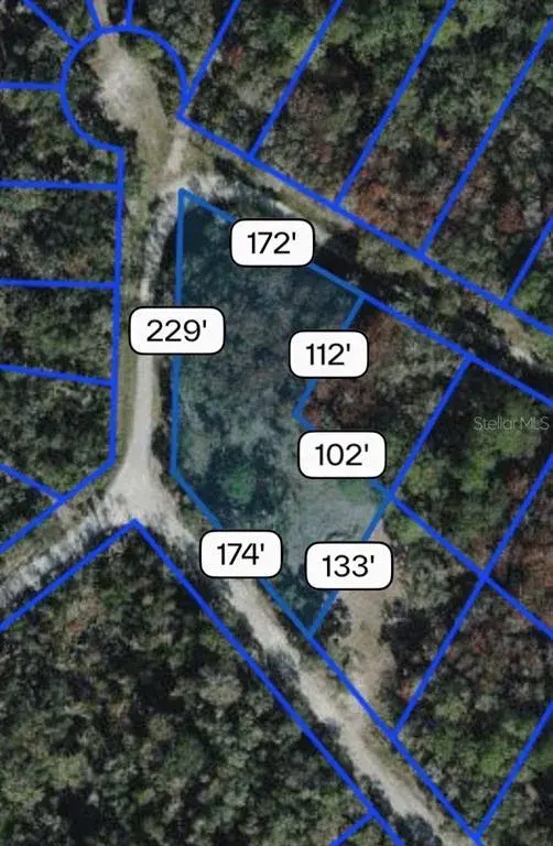 Property for sale at NORTHWEST AVENUE, WEBSTER, FL, 33597