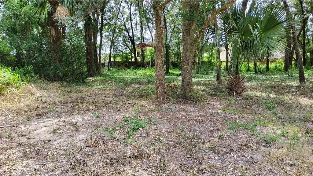 Property for sale at 25050 ALGONQUIN AVENUE, MOUNT PLYMOUTH, FL, 32776