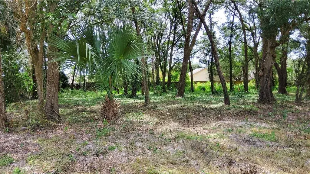 Property for sale at 25050 ALGONQUIN AVENUE, MOUNT PLYMOUTH, FL, 32776