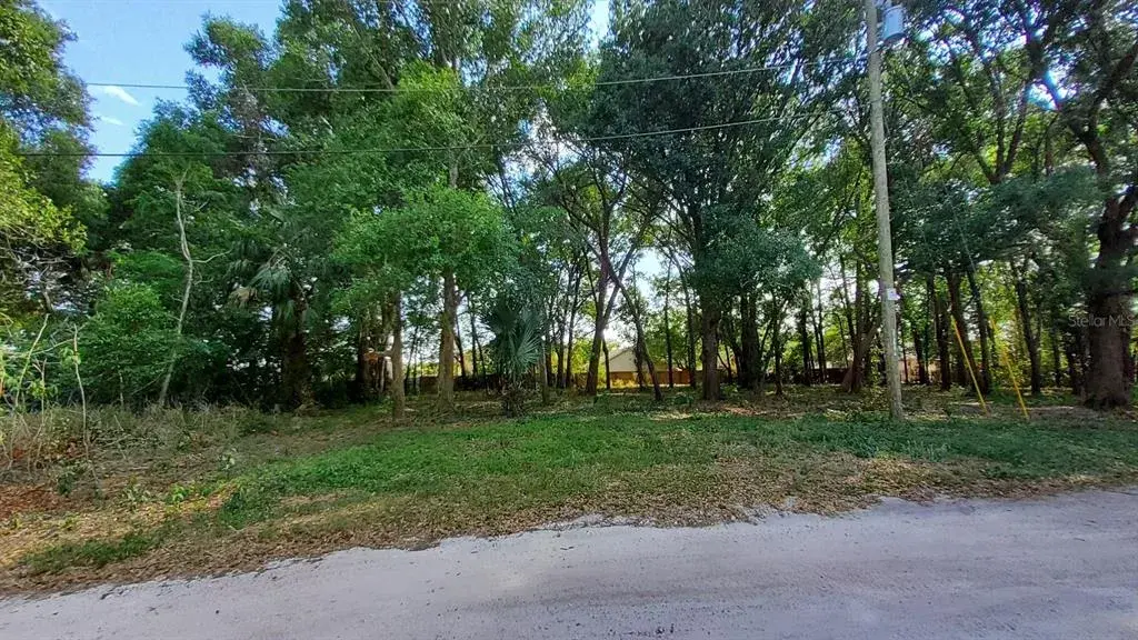 Property for sale at 25050 ALGONQUIN AVENUE, MOUNT PLYMOUTH, FL, 32776