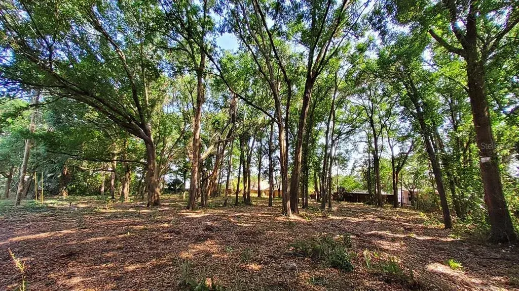 Property for sale at 25050 ALGONQUIN AVENUE, MOUNT PLYMOUTH, FL, 32776