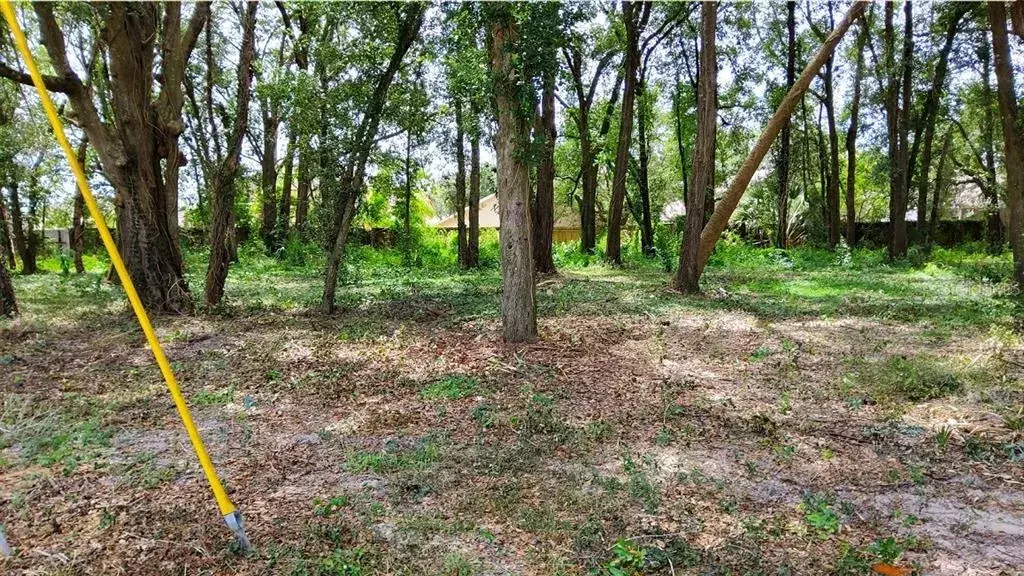 Property for sale at 25050 ALGONQUIN AVENUE, MOUNT PLYMOUTH, FL, 32776