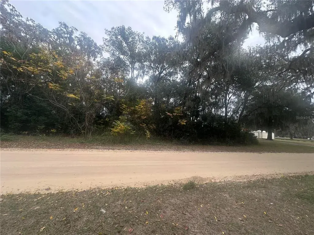 Property for sale at SR-19, ALTOONA, FL, 32702