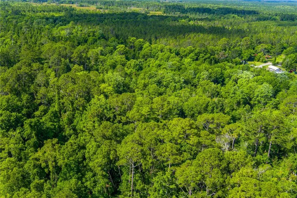 Property for sale at 3201 E RAULERSON ROAD, ST AUGUSTINE, FL, 32092