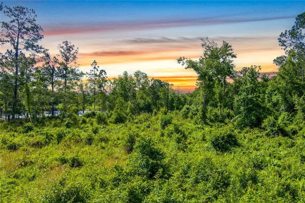Property for sale at 3201 E RAULERSON ROAD, ST AUGUSTINE, FL, 32092