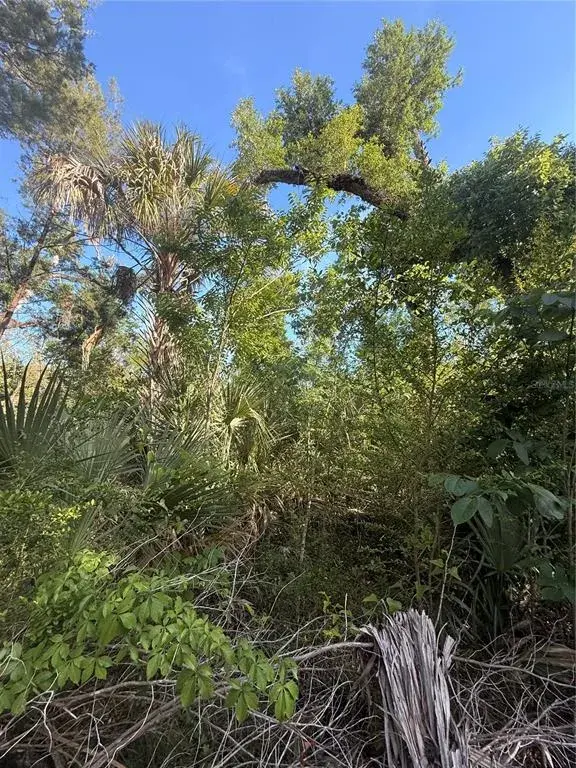 Property for sale at 10274 W OZELLO TRAIL, CRYSTAL RIVER, FL, 34429