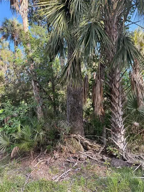 Property for sale at 10274 W OZELLO TRAIL, CRYSTAL RIVER, FL, 34429