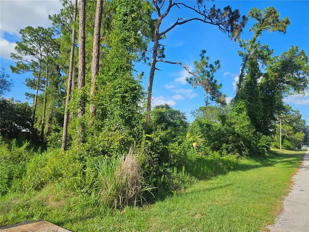 Property for sale at 2318 WHITEHORSE STREET, DELTONA, FL, 32738