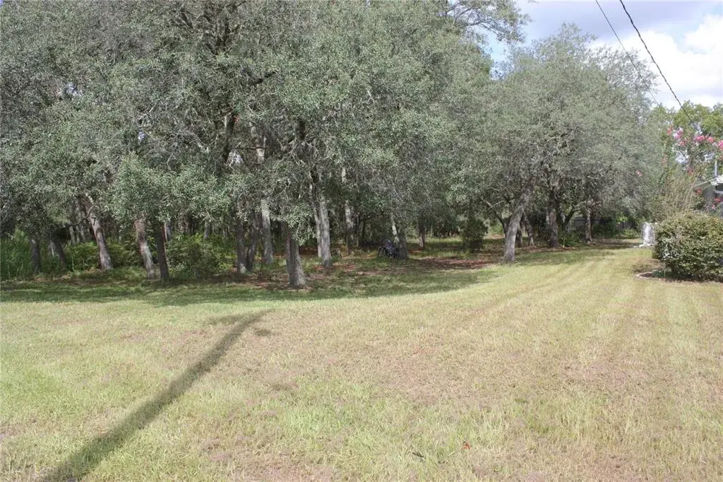 Property for sale at 1923 W MCNEAL DRIVE, CITRUS SPRINGS, FL, 34434