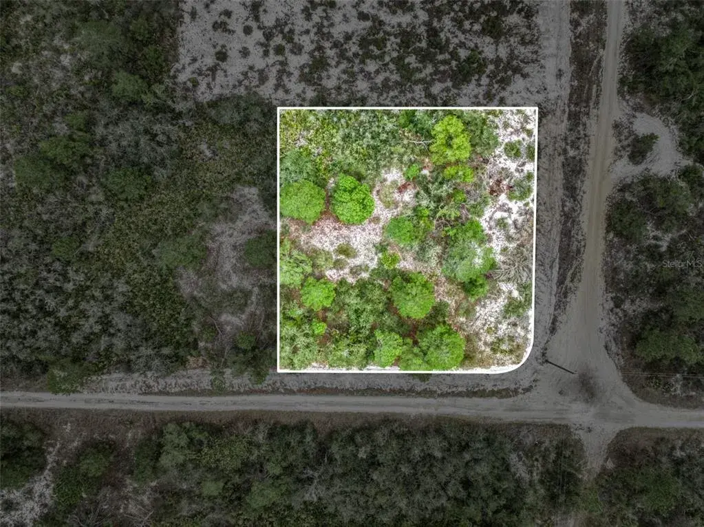 Property for sale at 143 PATTON AVENUE, LAKE PLACID, FL, 33852