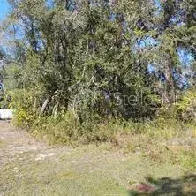 Property for sale at TBD SE 61ST PLACE, OCKLAWAHA, FL, 32179