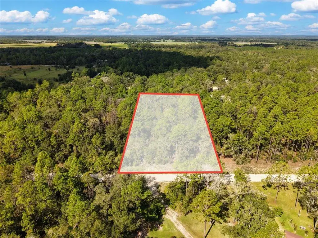Property for sale at 6339 NW 17TH COURT, BELL, FL, 32619
