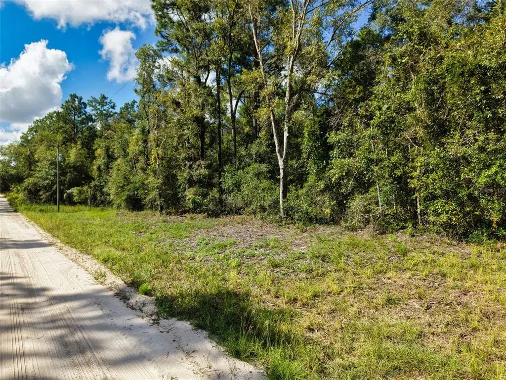 Property for sale at 6339 NW 17TH COURT, BELL, FL, 32619