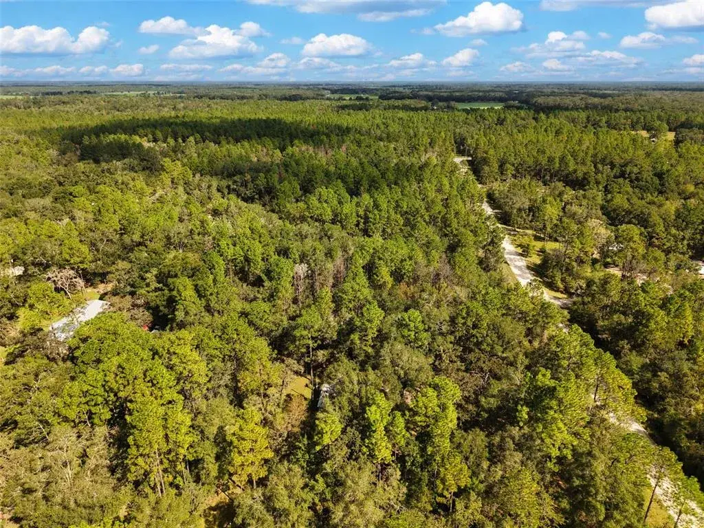Property for sale at 6339 NW 17TH COURT, BELL, FL, 32619