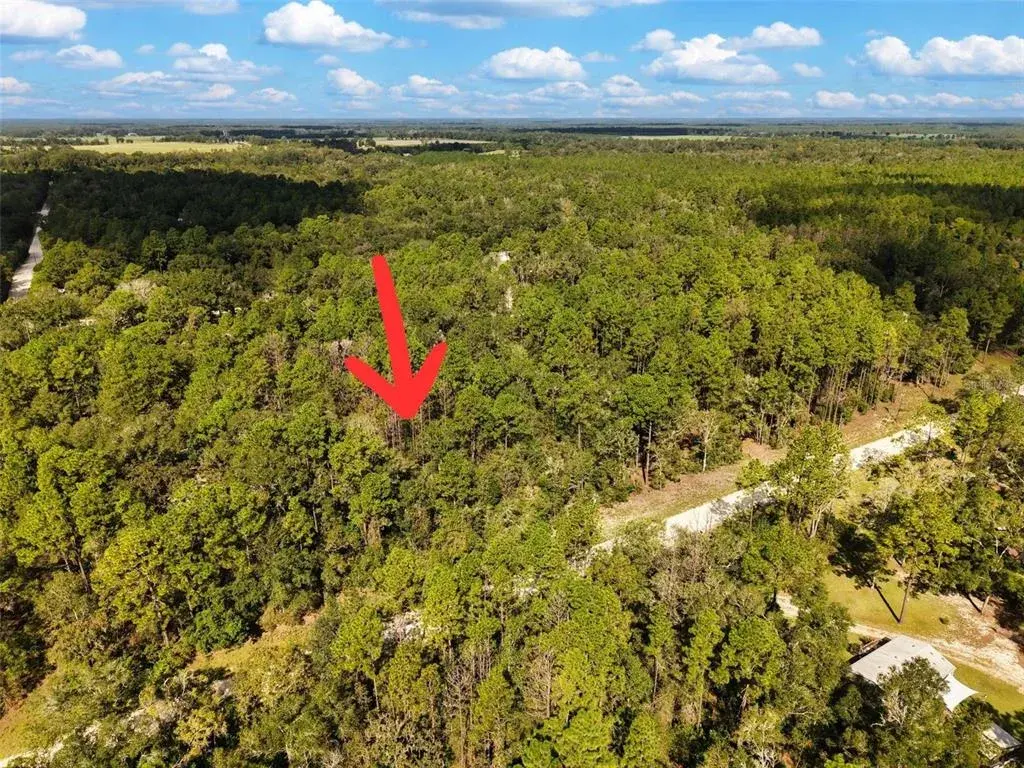 Property for sale at 6339 NW 17TH COURT, BELL, FL, 32619