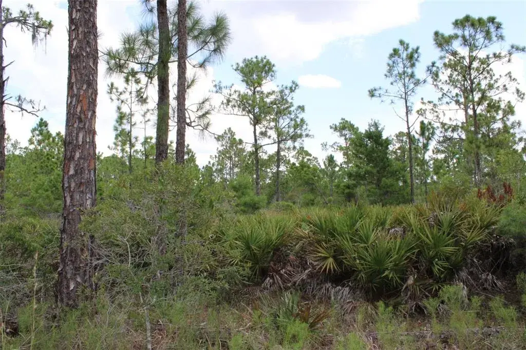 Property for sale at 1714 OLEASTER AVENUE, SEBRING, FL, 33875
