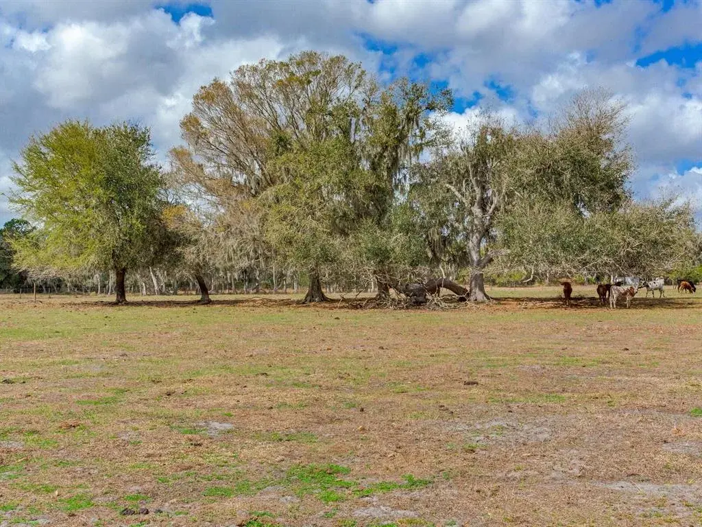 Property for sale at 0 S CR 39, LITHIA, FL, 33547