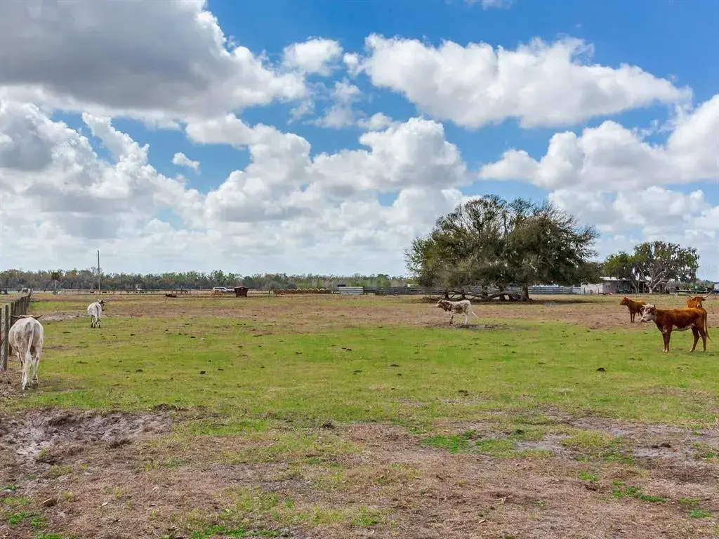 Property for sale at 0 S CR 39, LITHIA, FL, 33547