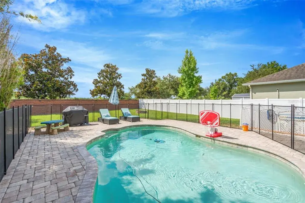 Pool/Yard