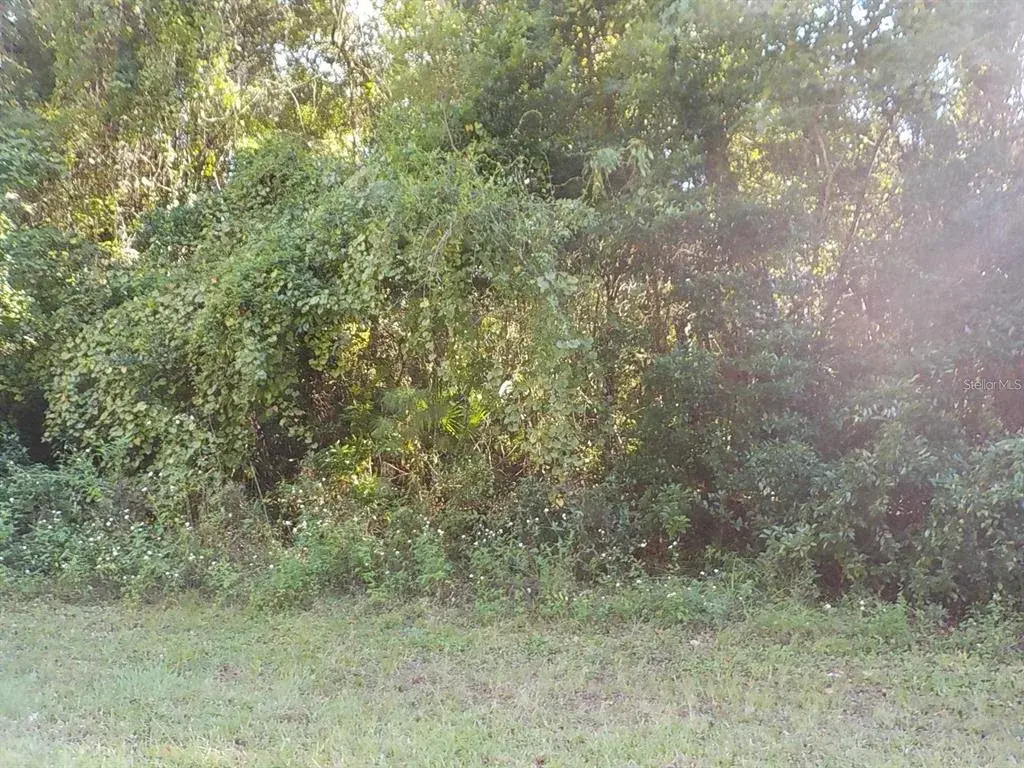 Property for sale at 11641 N KENLAKE CIRCLE, DUNNELLON, FL, 34434