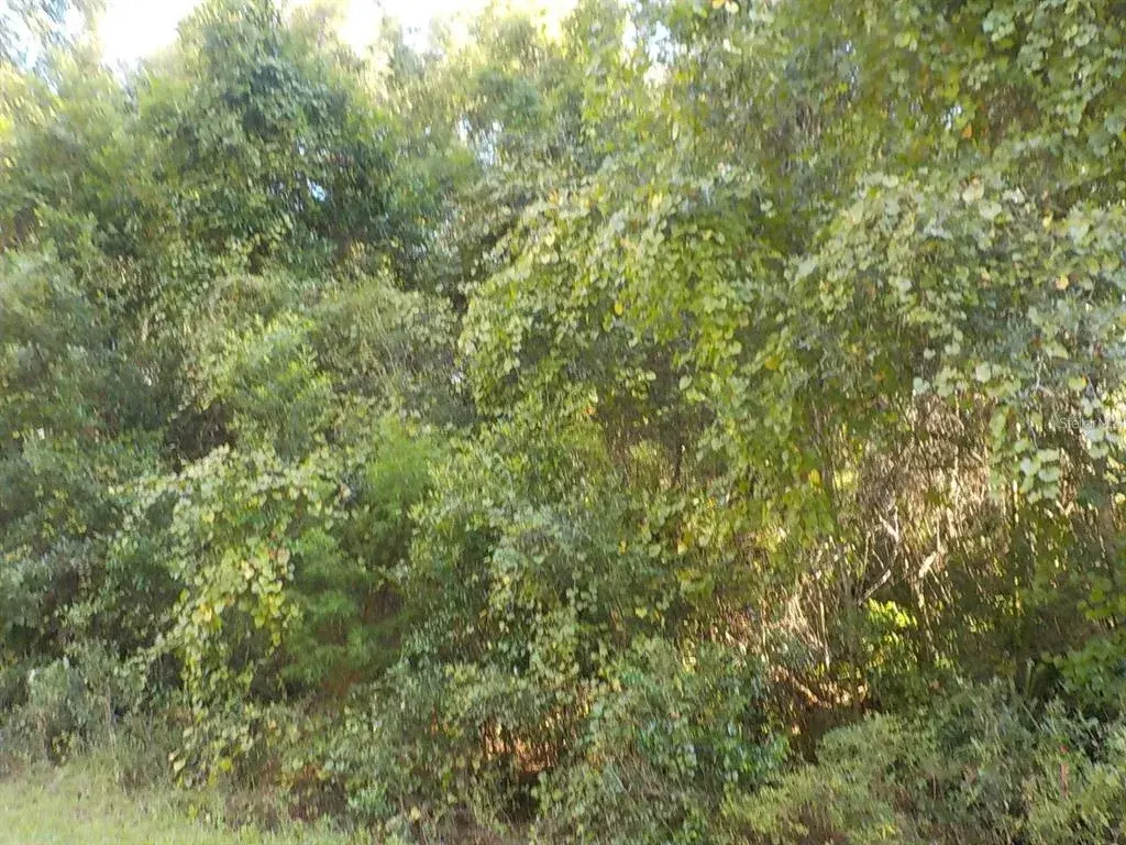 Property for sale at 11641 N KENLAKE CIRCLE, DUNNELLON, FL, 34434