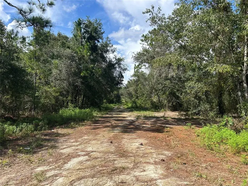 Property for sale at 1631 NE 123RD TERRACE, WILLISTON, FL, 32696