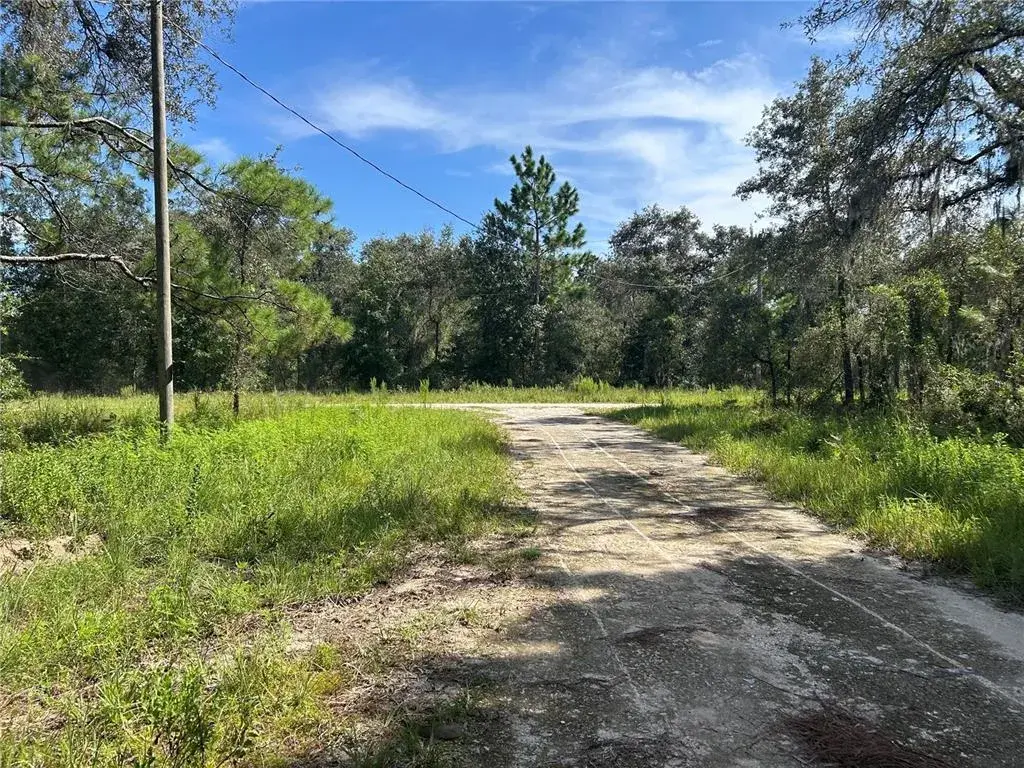 Property for sale at 1631 NE 123RD TERRACE, WILLISTON, FL, 32696