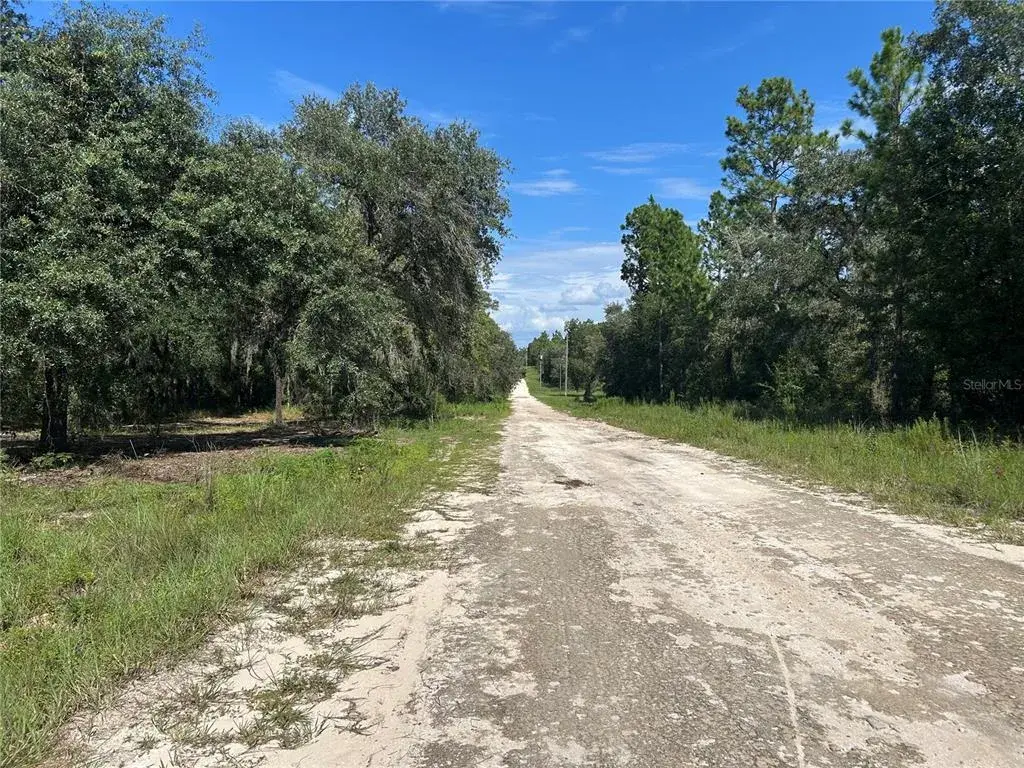 Property for sale at 1631 NE 123RD TERRACE, WILLISTON, FL, 32696