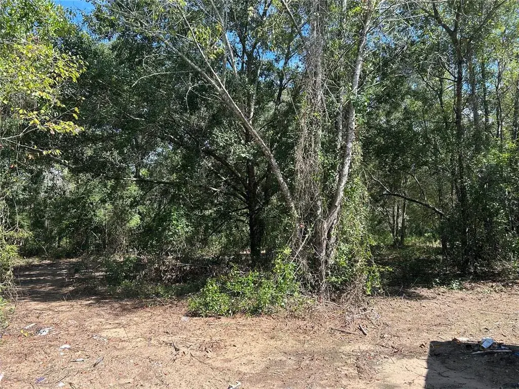 Property for sale at 1631 NE 123RD TERRACE, WILLISTON, FL, 32696