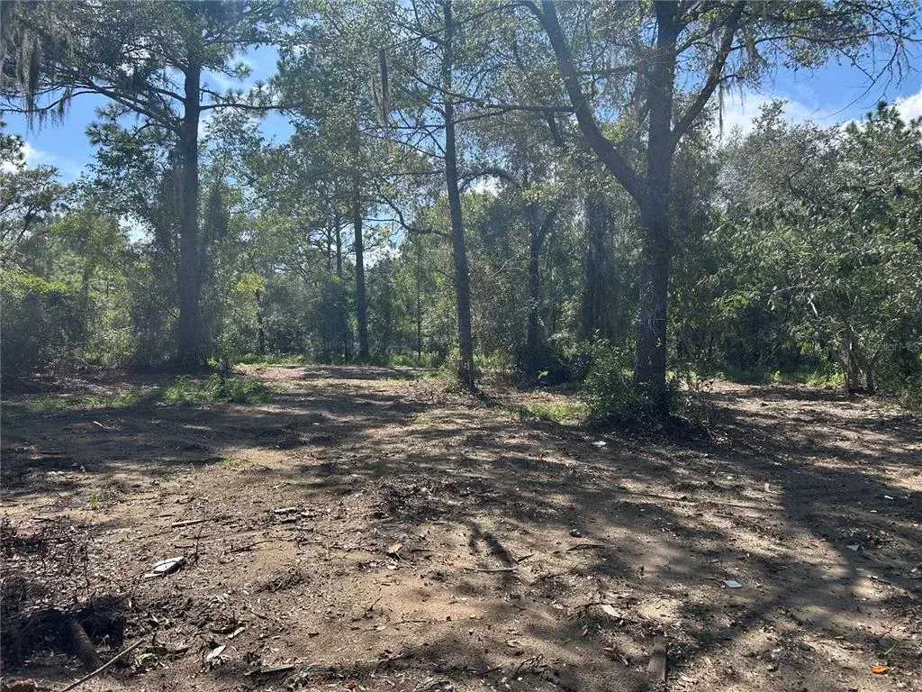 Property for sale at 1631 NE 123RD TERRACE, WILLISTON, FL, 32696