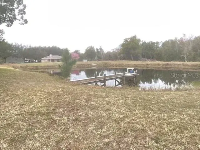 Stocked Pond w/ Dock