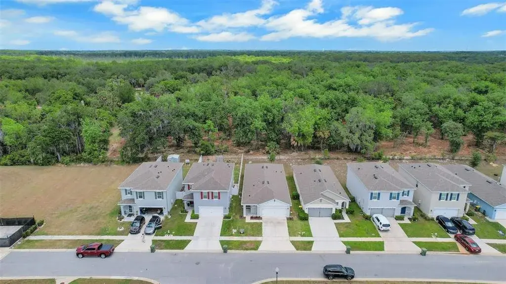 Aerial - Back of Neighborhood 7 Backing to Conservation