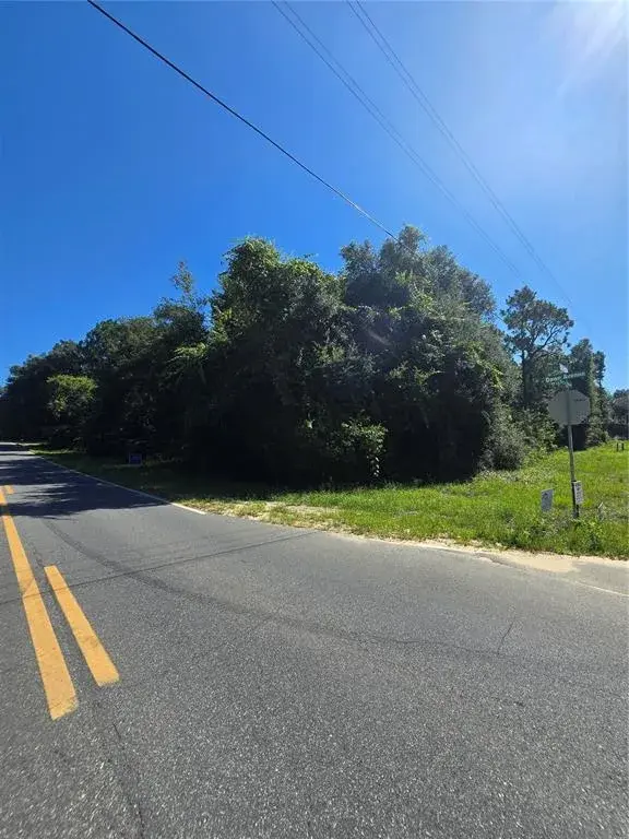 Property for sale at 600 DAWN AVENUE, INTERLACHEN, FL, 32148