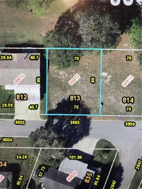 Property for sale at 3963 GREENBLUFF ROAD UNIT 813, ZELLWOOD, FL, 32798