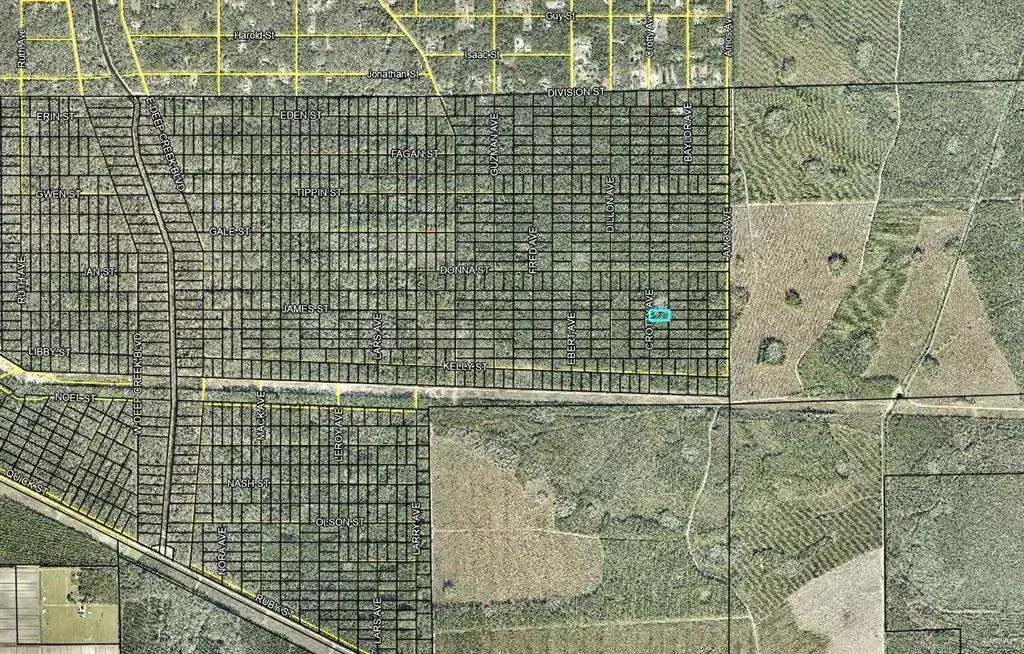 Property for sale at 103 CROTTY STREET, HASTINGS, FL, 32145