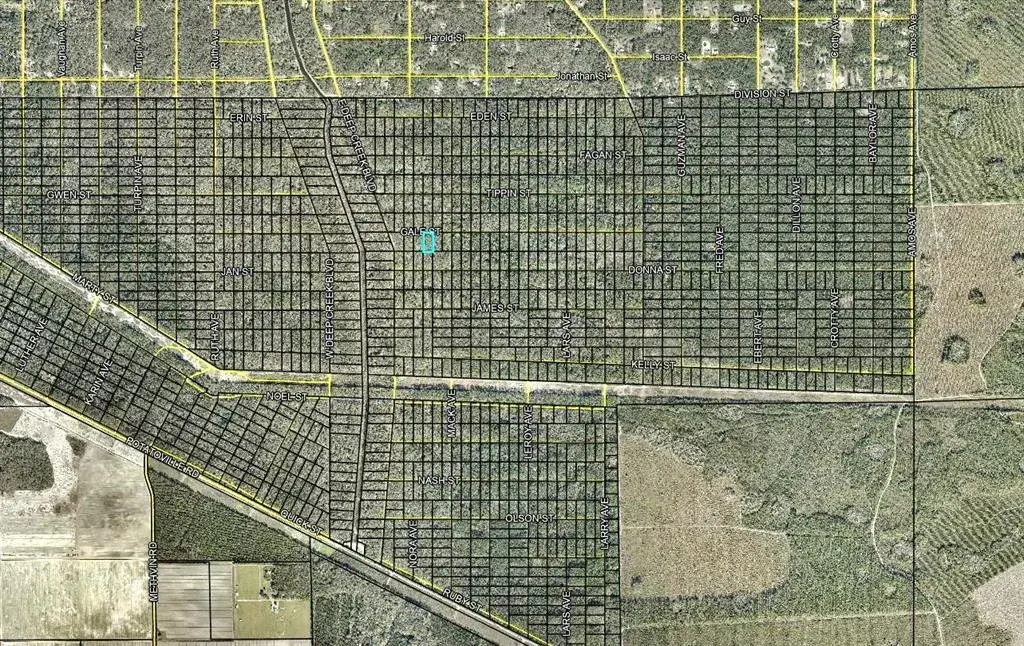 Property for sale at 646 GALE STREET, HASTINGS, FL, 32145
