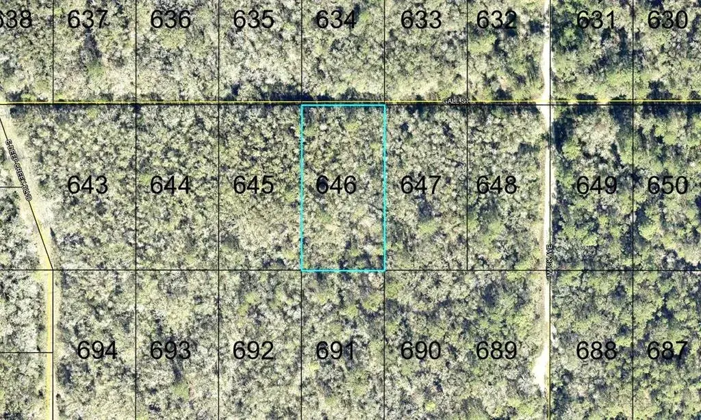 Property for sale at 646 GALE STREET, HASTINGS, FL, 32145